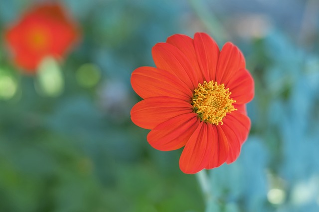 畫角色聯繫 畫角色聯繫