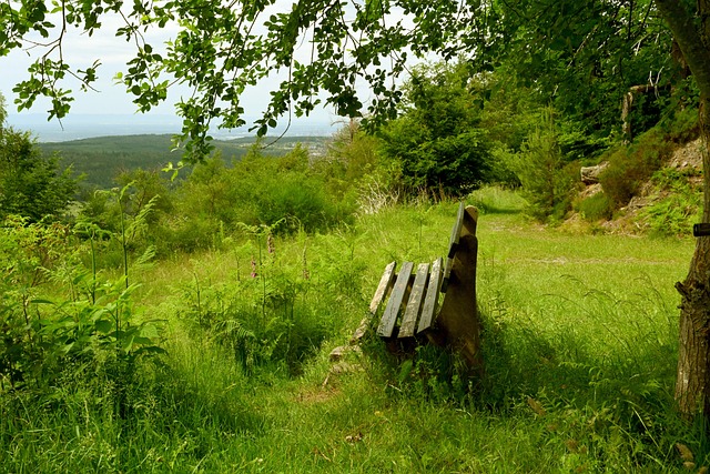 成为比赛的 成为比赛的