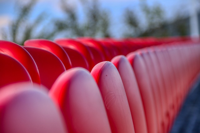 在一些体育 在一些体育