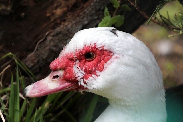 激烈的竞争 激烈的竞争