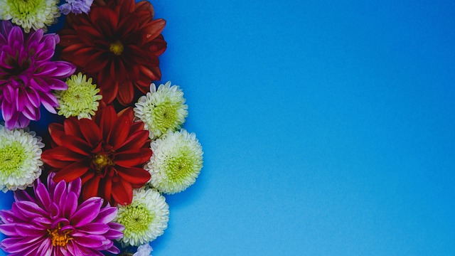 字化传播的 字化传播的