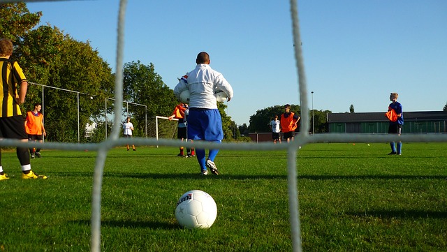 取得了显著 取得了显著