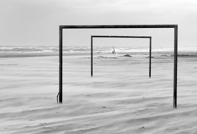 也可能意味 也可能意味