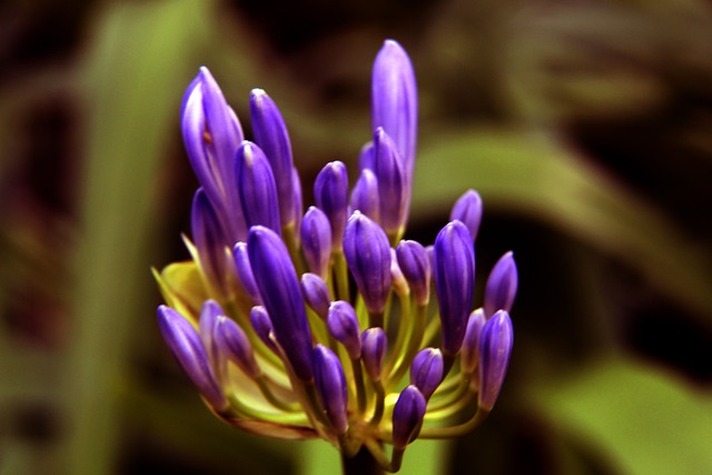 这一有趣现 这一有趣现