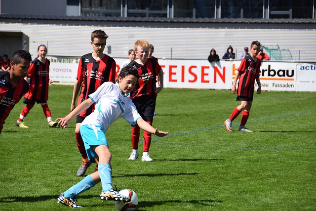 界的赞誉 界的赞誉