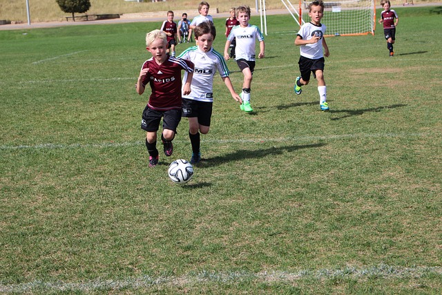 利進入淘汰 利進入淘汰