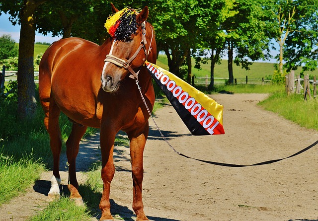 体育精神给 体育精神给