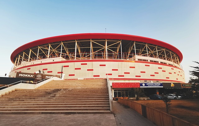 需要每位球 需要每位球