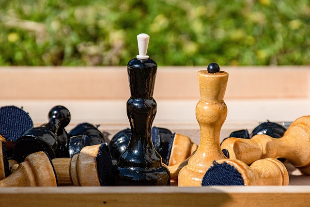 仅引发了广 仅引发了广